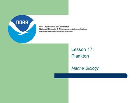 Lesson 17: Plankton Marine Biology. What exactly are plankton? 1.Plankton are weakly swimming or drifting organisms 2.“Plankton” is not a single species.