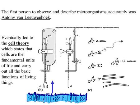 Really a very high class magnifying glass!