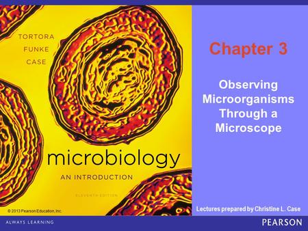 Observing Microorganisms Through a Microscope