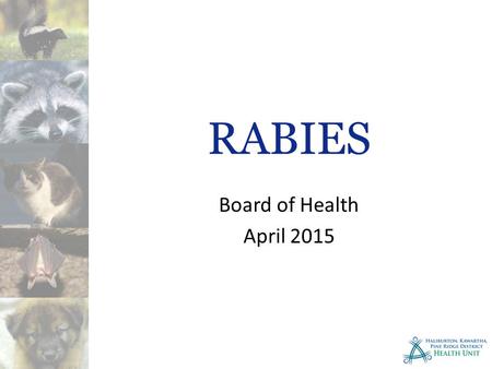 RABIES Board of Health April 2015. Rabies Disease Rabies is a highly contagious viral disease. The disease causes inflammation of the brain and spinal.