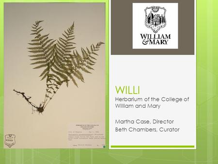 WILLI Herbarium of the College of William and Mary Martha Case, Director Beth Chambers, Curator.