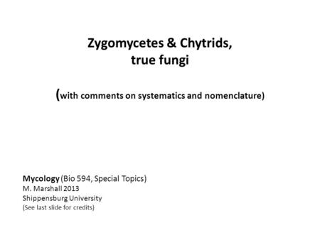 Zygomycetes & Chytrids, true fungi ( with comments on systematics and nomenclature) Mycology (Bio 594, Special Topics) M. Marshall 2013 Shippensburg University.