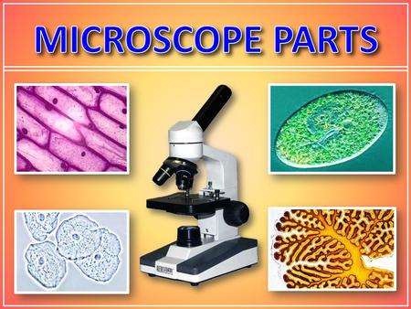 MICROSCOPE PARTS.