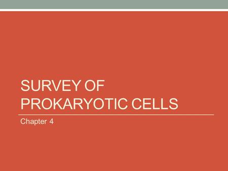 SURVEY OF PROKARYOTIC CELLS Chapter 4. TYPICAL PROKARYOTIC CELL.