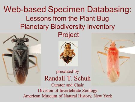 Web-based Specimen Databasing: Lessons from the Plant Bug Planetary Biodiversity Inventory Project presented by Randall T. Schuh Curator and Chair Division.