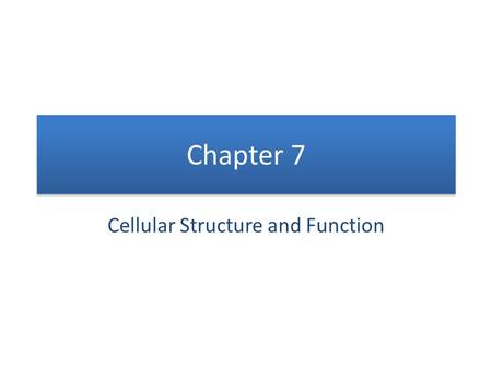 Cellular Structure and Function