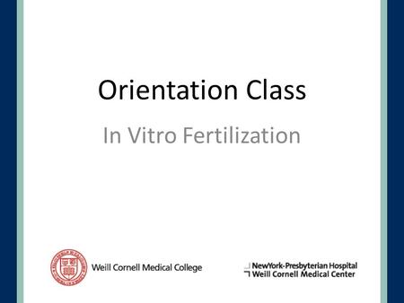 In Vitro Fertilization