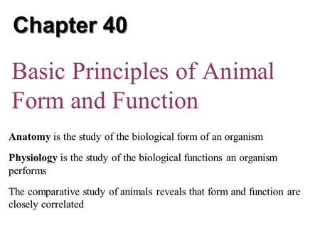 Basic Principles of Animal Form and Function