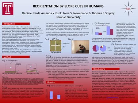 Chance REORIENTATION BY SLOPE CUES IN HUMANS Introduction Daniele Nardi, Amanda Y. Funk, Nora S. Newcombe & Thomas F. Shipley Temple University Animals.