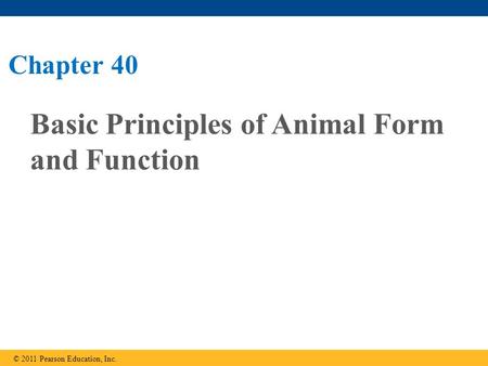 Basic Principles of Animal Form and Function