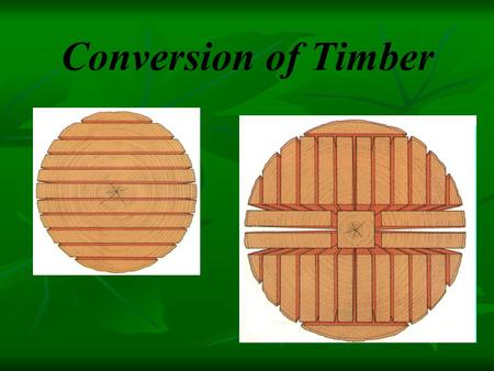 Conversion of Timber. Trees are cut down during winter as there is less growth, therefore less sap After felling trees are transported to sawmills to.