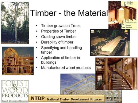 Timber - the Material Timber grows on Trees Properties of Timber Grading sawn timber Durability of timber Specifying and handling timber Application of.