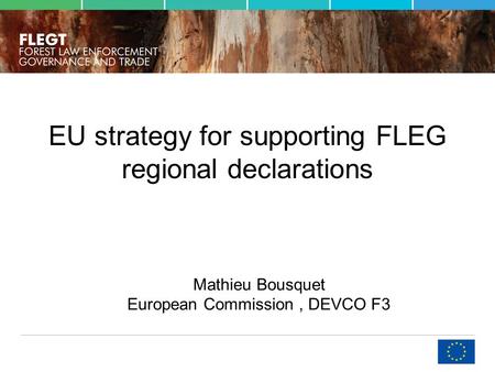 EU strategy for supporting FLEG regional declarations Mathieu Bousquet European Commission, DEVCO F3.