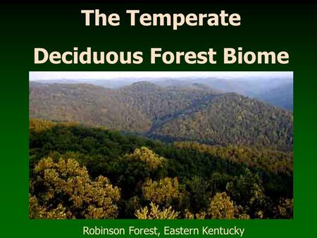 Deciduous Forest Biome