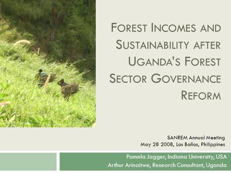 F OREST I NCOMES AND S USTAINABILITY AFTER U GANDA ’ S F OREST S ECTOR G OVERNANCE R EFORM Pamela Jagger, Indiana University, USA Arthur Arinaitwe, Research.