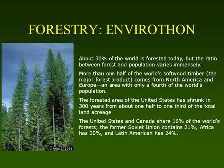 FORESTRY: ENVIROTHON About 30% of the world is forested today, but the ratio between forest and population varies immensely. More than one half of the.