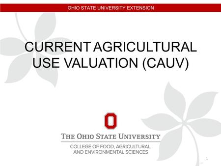 CURRENT AGRICULTURAL USE VALUATION (CAUV) 1. LARRY R. GEARHARDT FIELD SPECIALIST, TAXATION OHIO STATE UNIVERSITY EXTENSION 810 FAIR ROAD SIDNEY, OHIO.