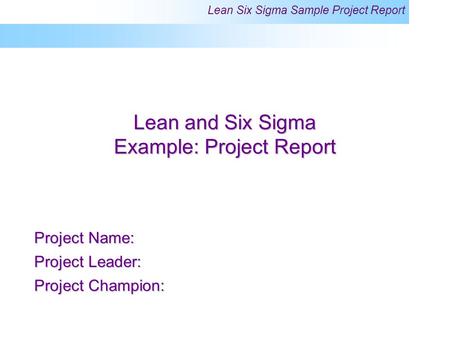 Example: Project Report