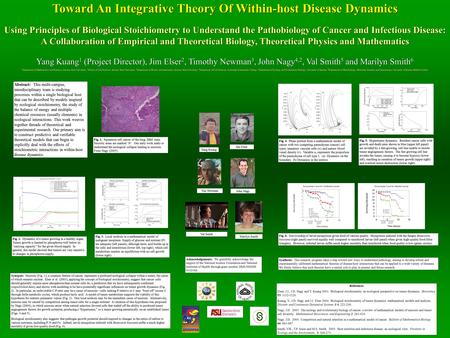 Toward An Integrative Theory Of Within-host Disease Dynamics Using Principles of Biological Stoichiometry to Understand the Pathobiology of Cancer and.