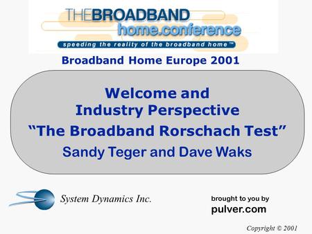 Welcome and Industry Perspective “The Broadband Rorschach Test” Sandy Teger and Dave Waks Copyright © 2001 System Dynamics Inc. brought to you by pulver.com.