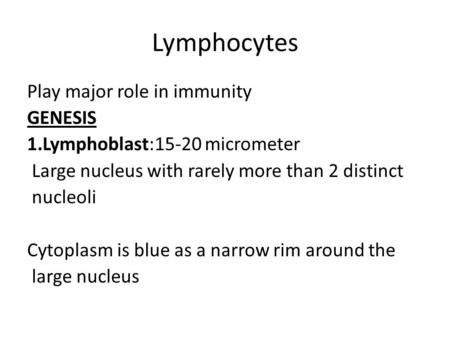 Lymphocytes Play major role in immunity GENESIS 1.Lymphoblast:15-20 micrometer Large nucleus with rarely more than 2 distinct nucleoli Cytoplasm is blue.