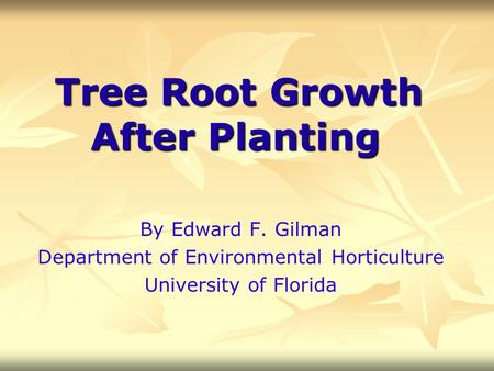 Tree Root Growth After Planting