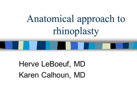 Anatomical approach to rhinoplasty