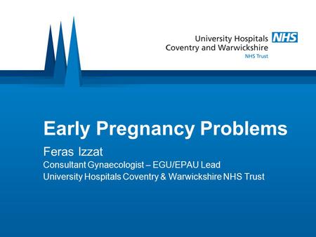 Early Pregnancy Problems