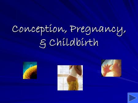 Conception, Pregnancy, & Childbirth. PA Standards: 10.1.12 – Analyze factors that impact growth and development between adolescence and adulthood NETS: