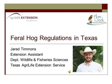 Feral Hog Regulations in Texas Jared Timmons Extension Assistant Dept. Wildlife & Fisheries Sciences Texas AgriLife Extension Service.