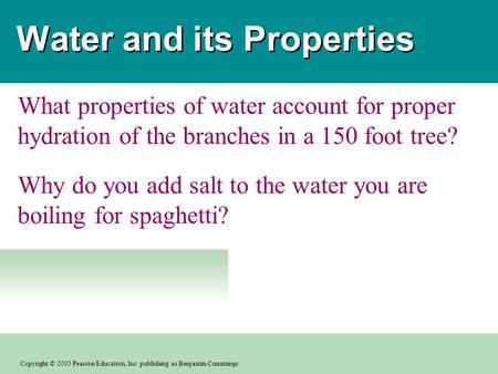 Copyright © 2005 Pearson Education, Inc. publishing as Benjamin Cummings PowerPoint TextEdit Art Slides for Biology, Seventh Edition Neil Campbell and.