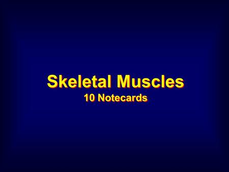 Skeletal Muscles 10 Notecards