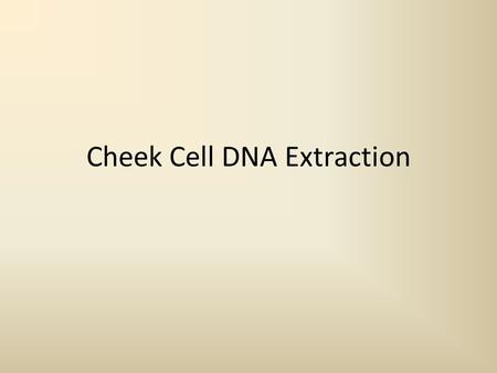 Cheek Cell DNA Extraction. DNA Isolation Procedure: 1.Swish your mouth with Gatorade for one minute. Chew lightly on your cheeks. Be careful not to swallow.