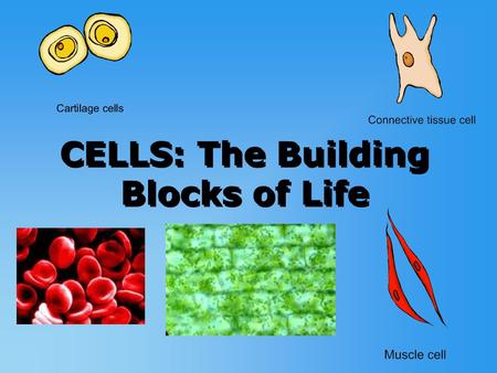 CELLS: The Building Blocks of Life