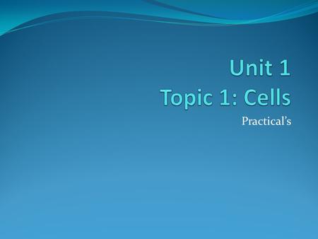 Practical’s. Practical 1 Learning objectives: By the end of the lesson you should be able to State the similarities and differences between animal, plant.