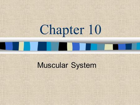 Chapter 10 Muscular System.