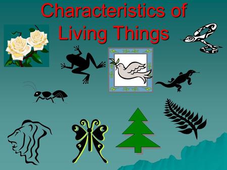 Characteristics of Living Things