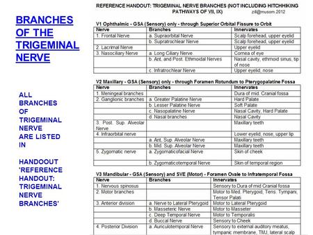 BRANCHES OF THE TRIGEMINAL NERVE ALL BRANCHES OF TRIGEMINAL NERVE