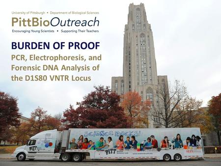 BURDEN OF PROOF PCR, Electrophoresis, and Forensic DNA Analysis of the D1S80 VNTR Locus.