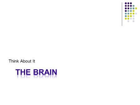 Think About It. Start at the Top Objectives Students will be able to describe the general structure of the cerebrum and the cerebral cortex Students.