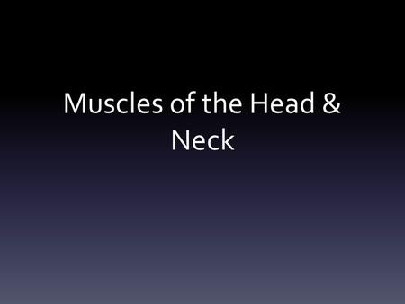 Muscles of the Head & Neck