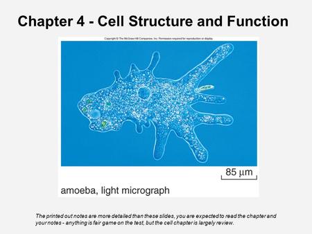 Chapter 4 - Cell Structure and Function