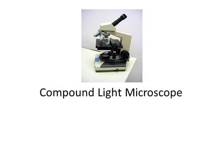 Compound Light Microscope