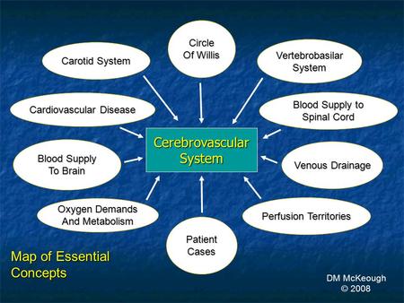 CerebrovascularSystem Patient Cases Perfusion Territories Perfusion Territories Venous Drainage Venous Drainage Vertebrobasilar System Cardiovascular.