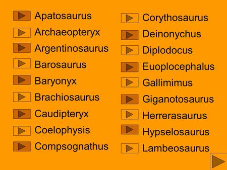 Apatosaurus Archaeopteryx Argentinosaurus Barosaurus Baryonyx