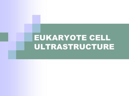 EUKARYOTE CELL ULTRASTRUCTURE. Primary Cell Structure That which can be seen using the light microscope © P Billiet © 2010 Paul Billiet ODWSODWS.