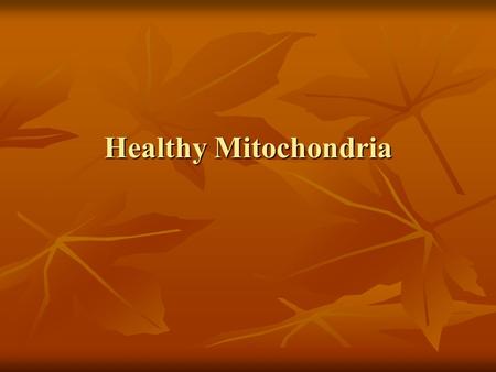 Healthy Mitochondria. Reactive Oxygen Species (ROS) Production Regulated by several factors Regulated by several factors ROS are formed by Oxidative Phosphorylation.