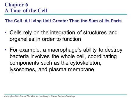 Chapter 6 A Tour of the Cell