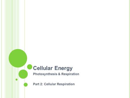 Cellular Energy Photosynthesis & Respiration