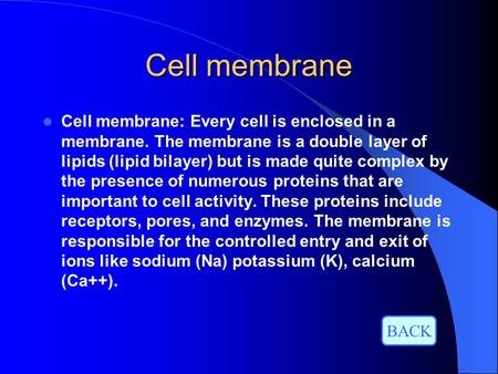 Cell membrane Cell membrane: Every cell is enclosed in a membrane. The membrane is a double layer of lipids (lipid bilayer) but is made quite complex by.